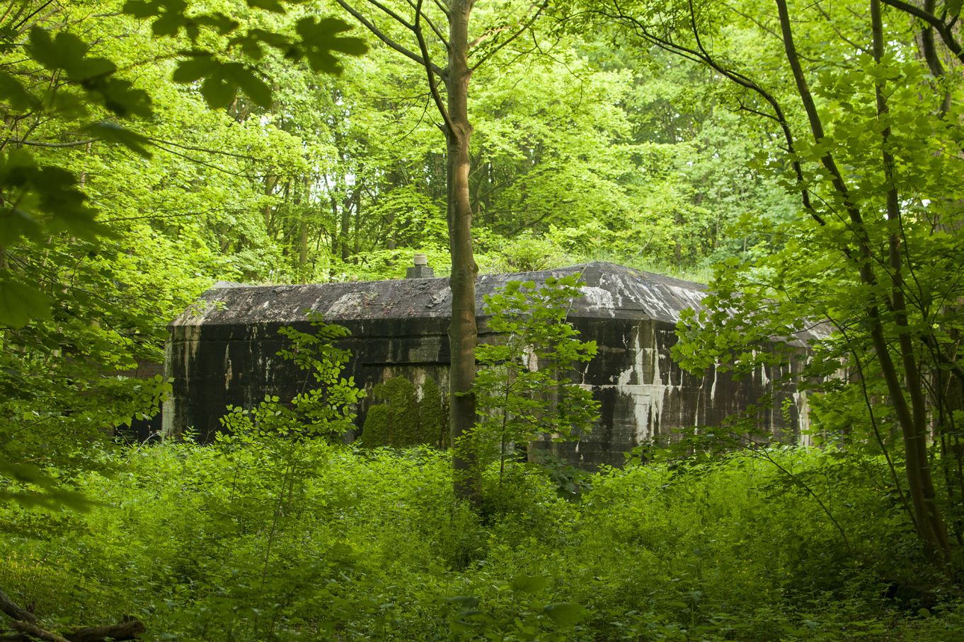 De bunkers gaan op in de natuur (Arthur van Beveren)